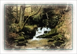 Postkartenserie "Natur erleben im Dreiländereck - Bergbach