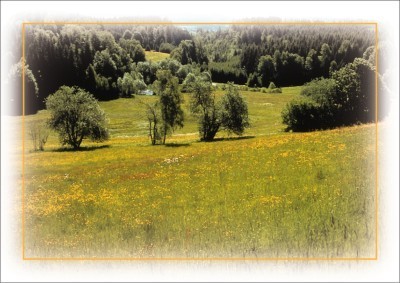 Postkartenserie "Natur erleben im Dreiländereck - Frühlingswiese